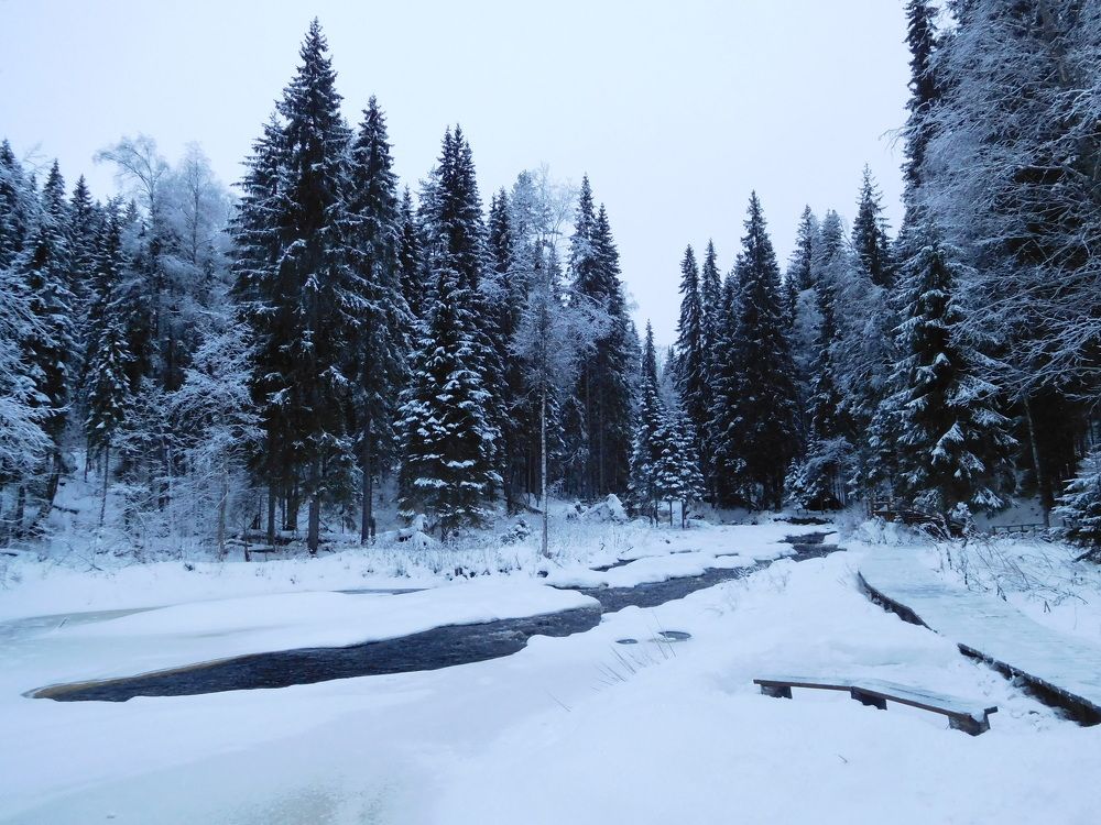 Photo #8552995
