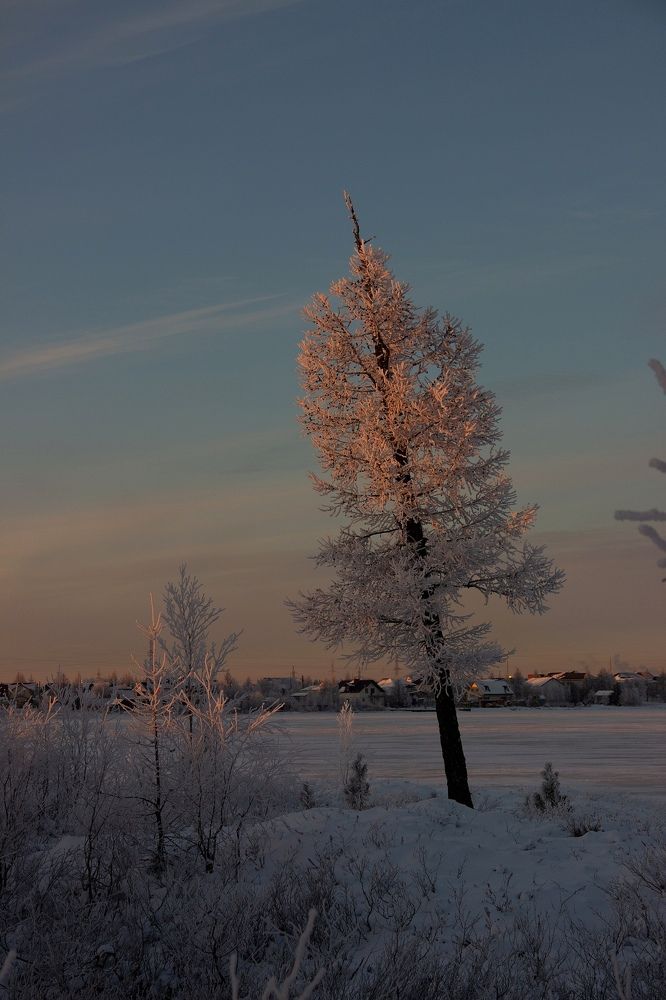 Photograph by Юлия Арестова