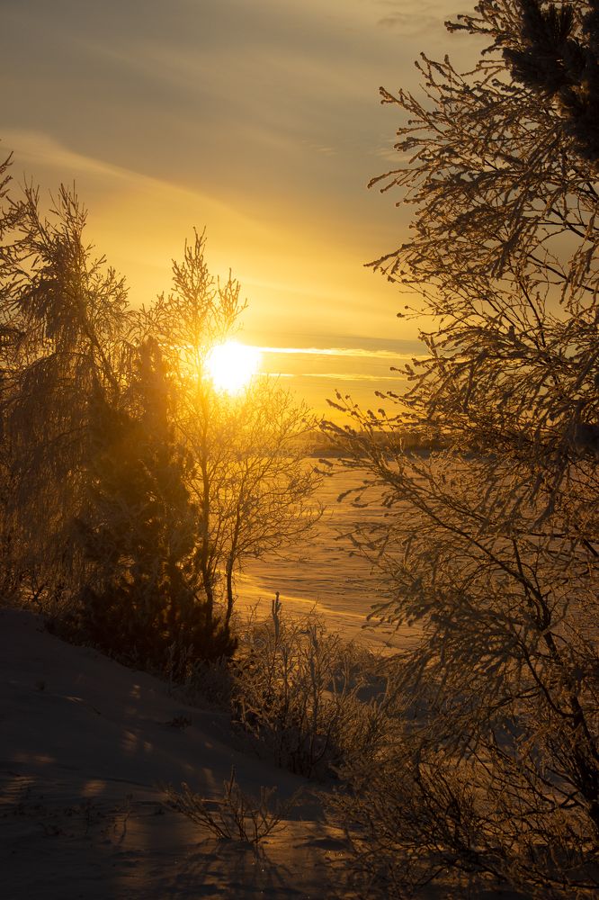 Photograph by Юлия Арестова