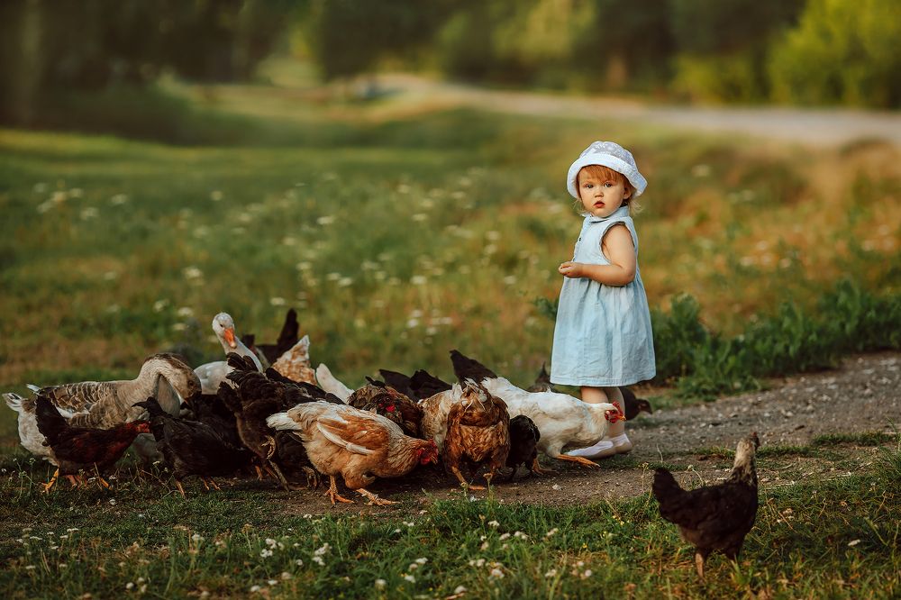 лето в деревне