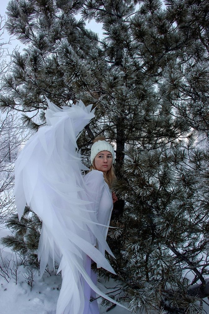 Photograph by Юлия Арестова