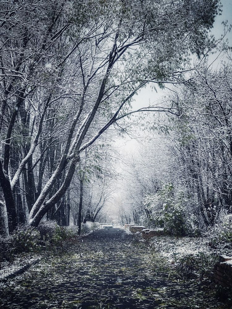 Photograph by Наталья Сережко