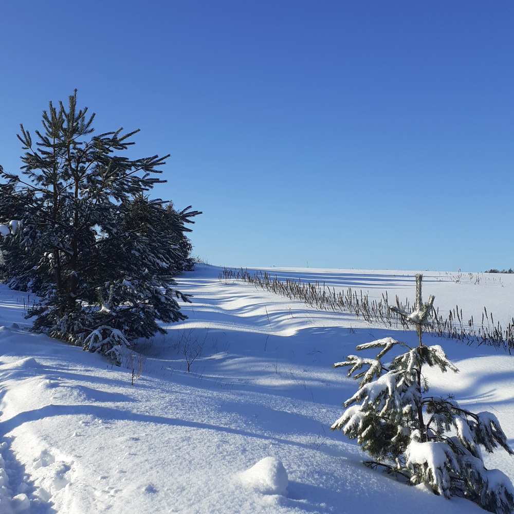 Photograph by Олеся