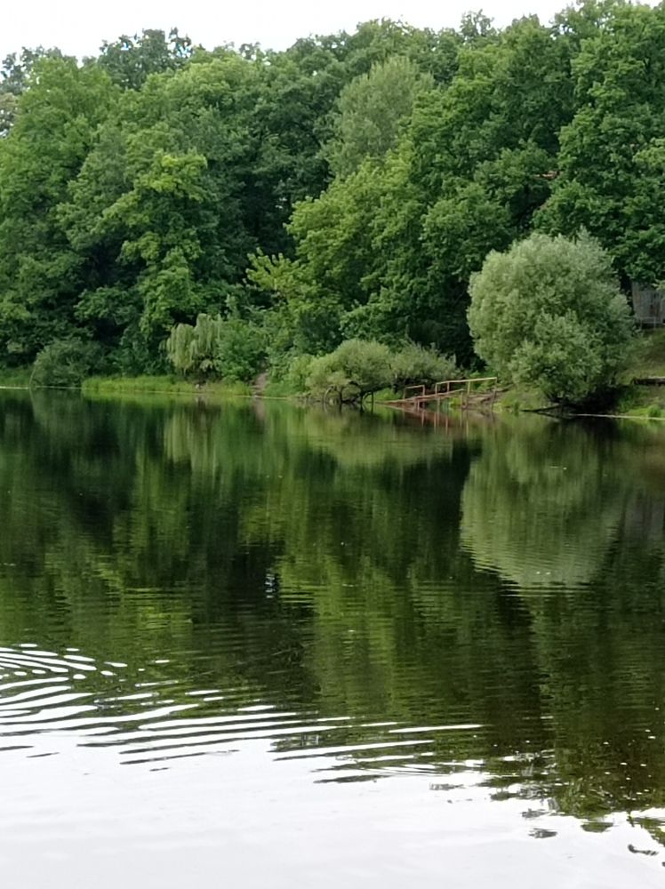 Фотография автора Юлия Гербоносенко