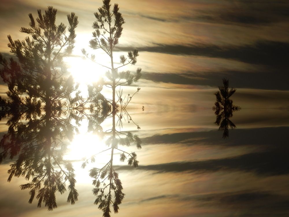 Photograph by Георгий Салюков