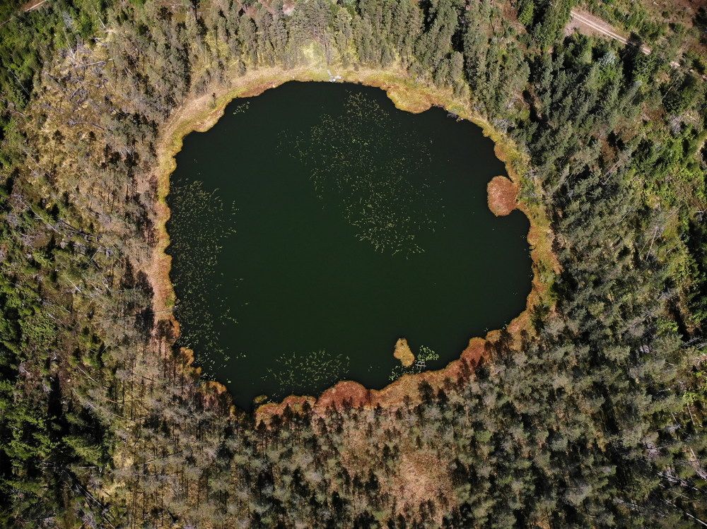 Фотография автора Алексей Голоушкин