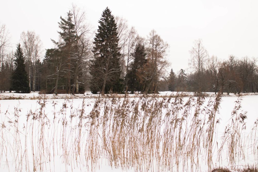 Photograph by Полина Белокопытова