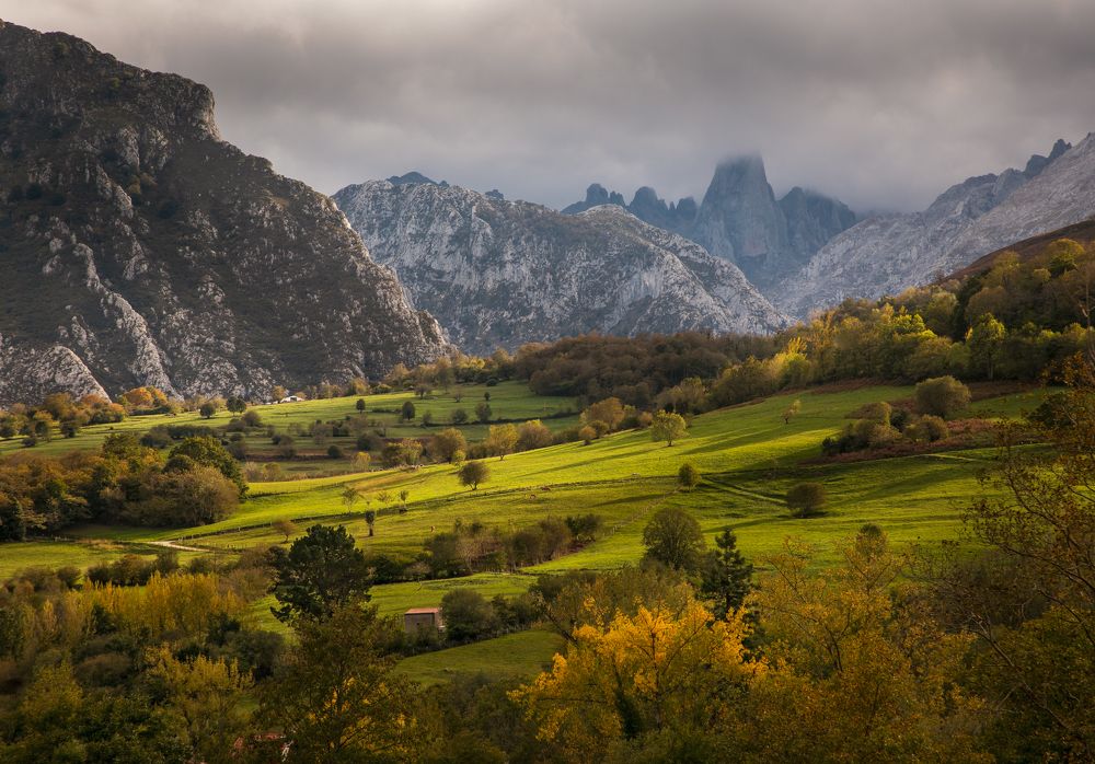 Photograph by Алекс Римский