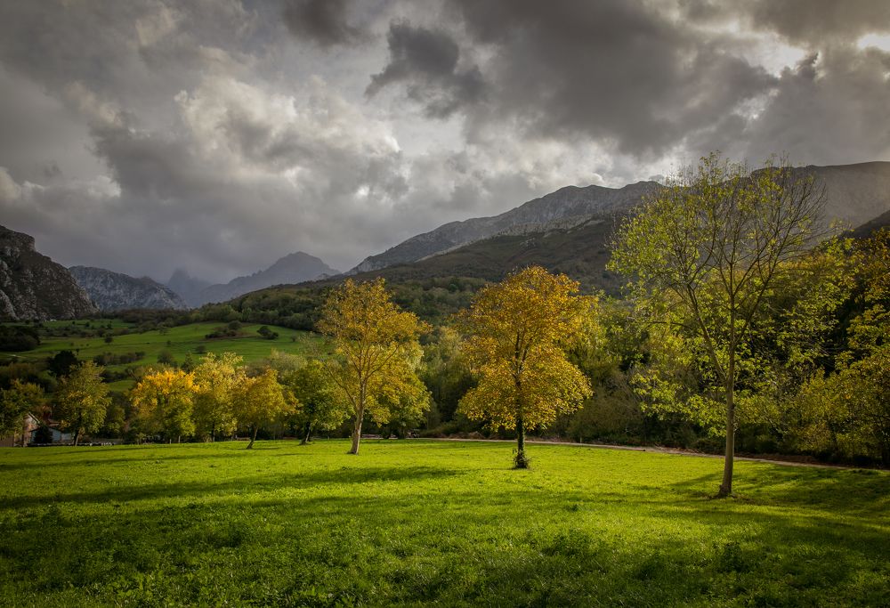 Photograph by Алекс Римский