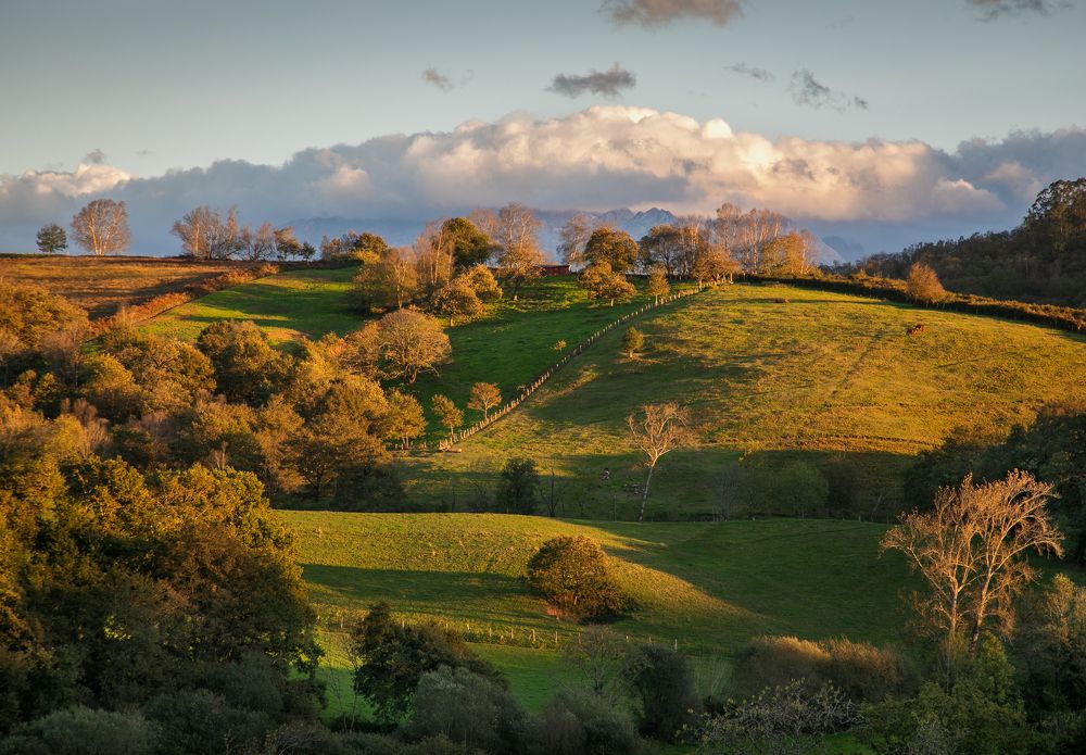 Photograph by Алекс Римский