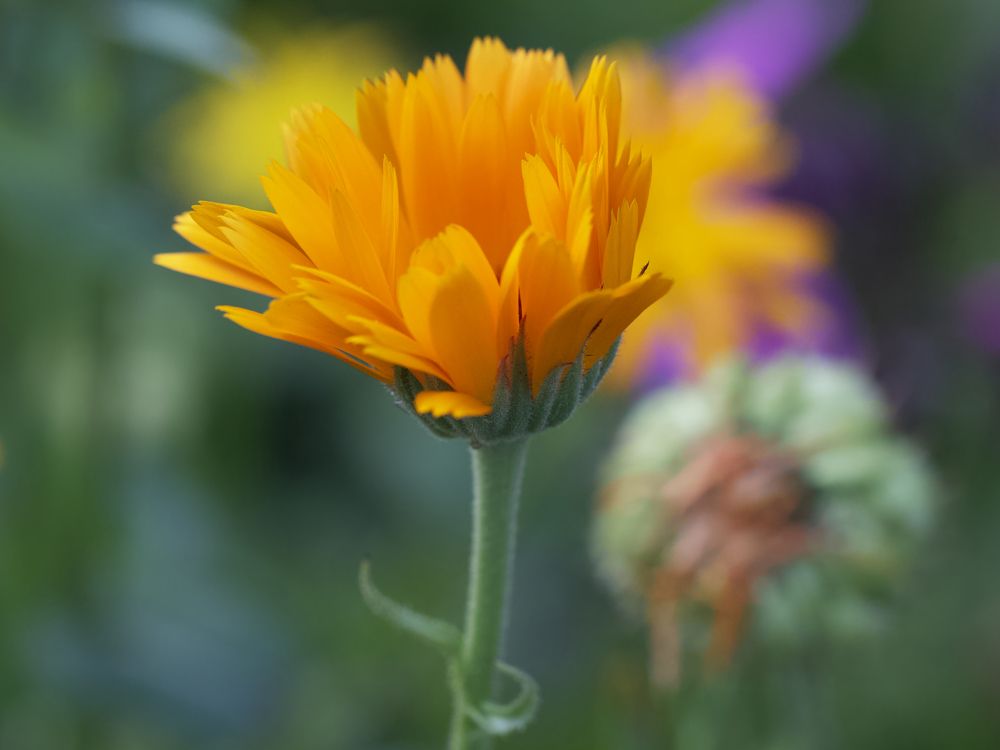 Photograph by Ирина Серегина