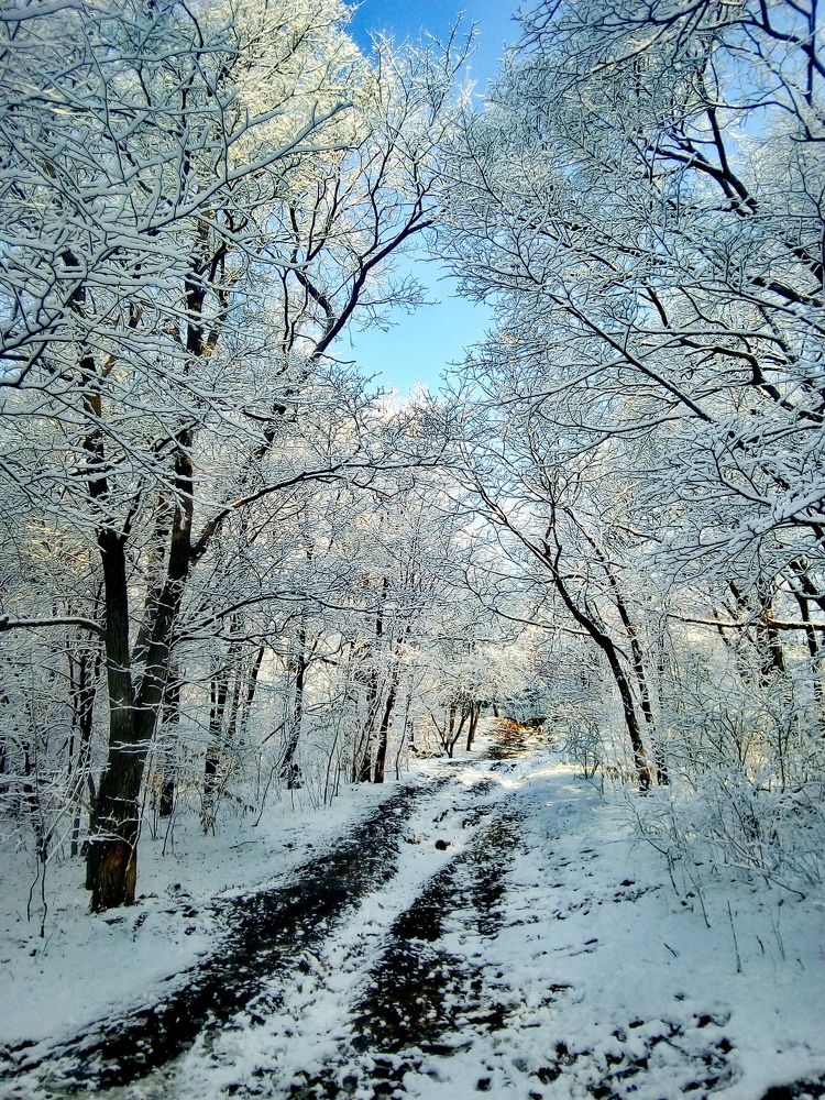 Фотография автора Богатов Андрей