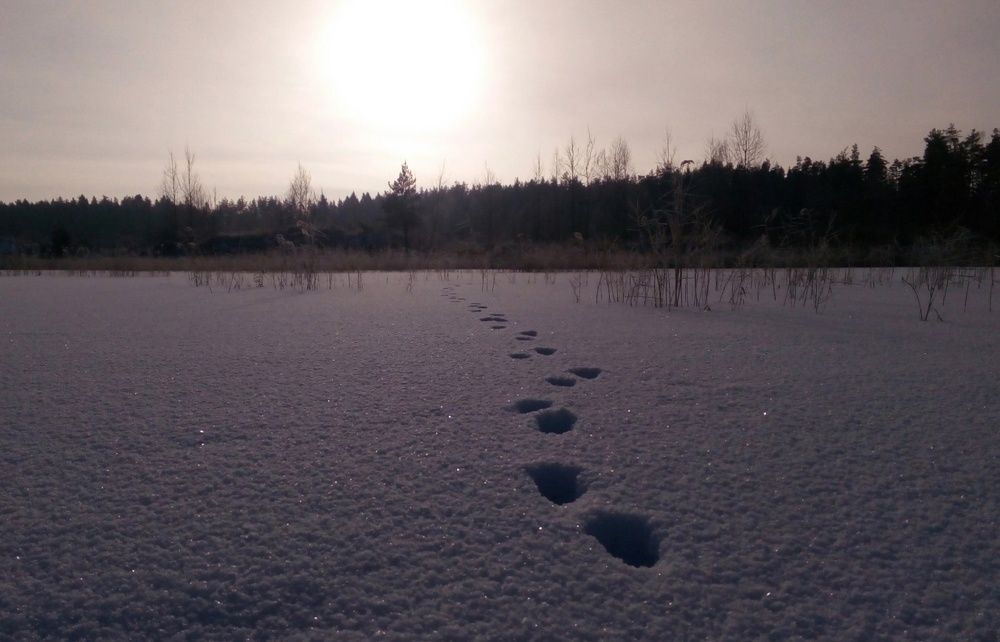 Photograph by Овечкин Павел