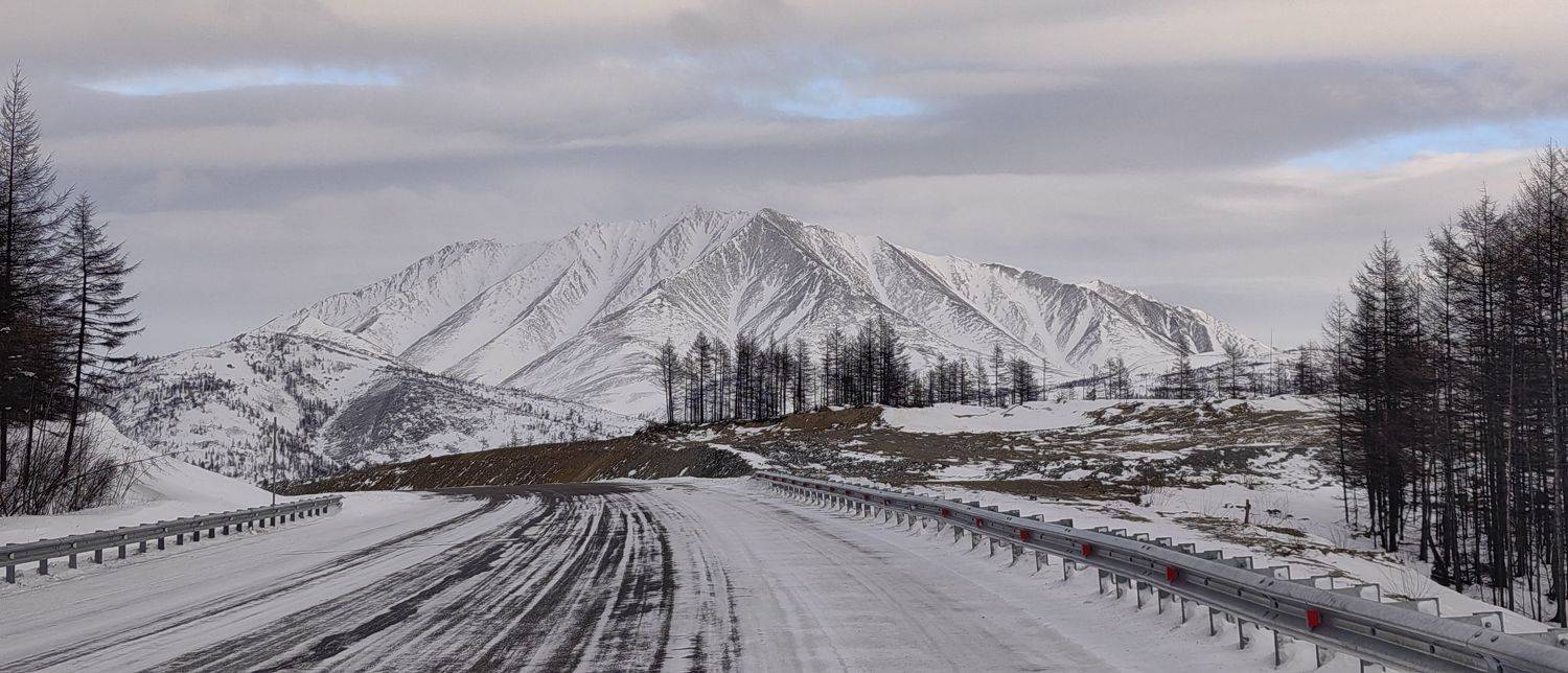 Photo #8553346