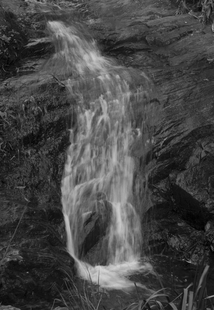 Photograph by Régis Santos