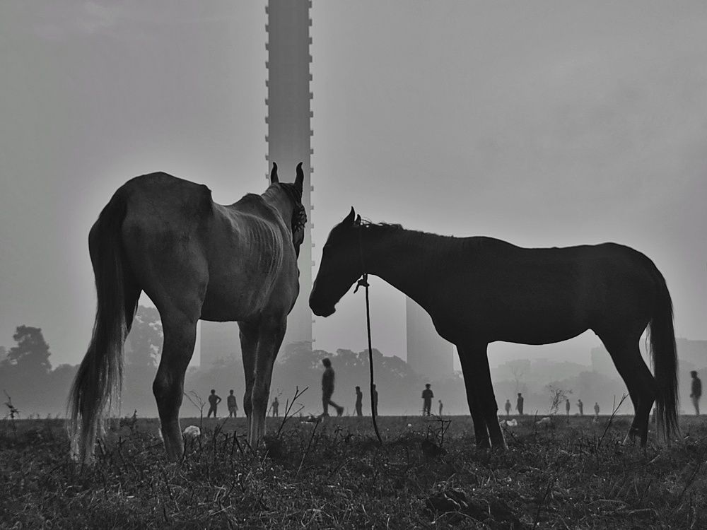 Photograph by Sudipto Deb