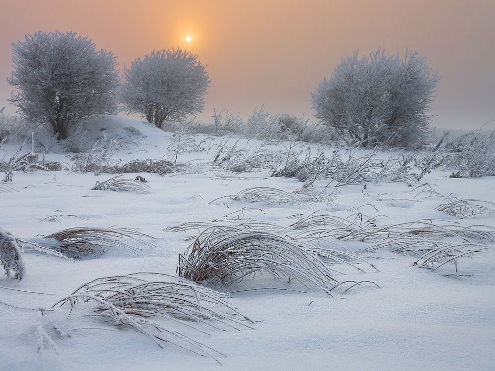 Photograph by Олег Тетерин