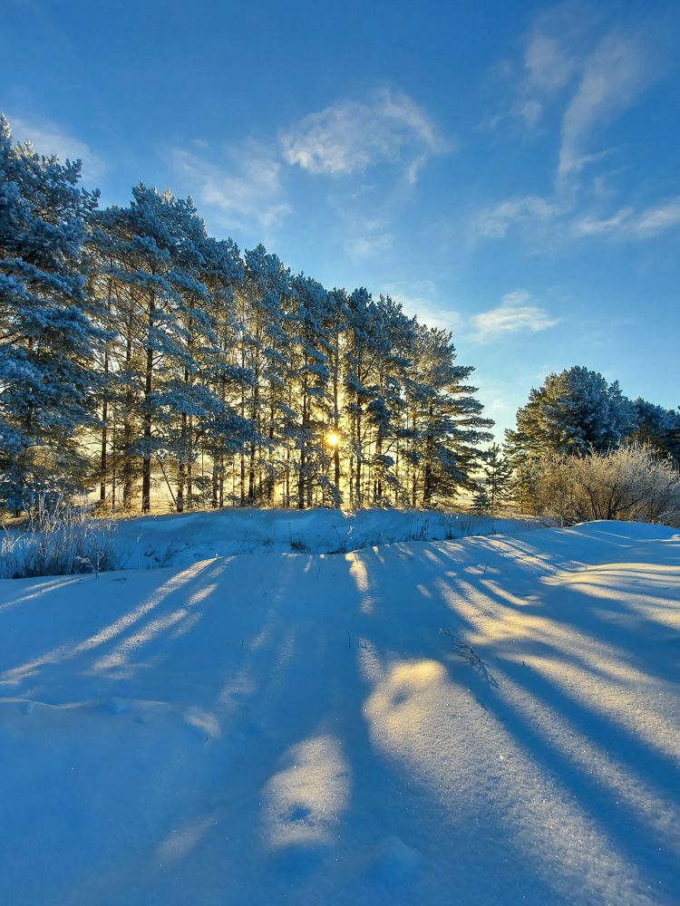 Photograph by Игорь Степанов