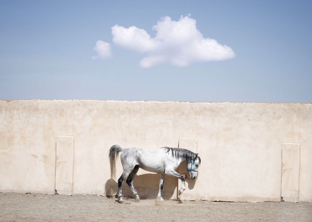 Photograph by Naser mousavi