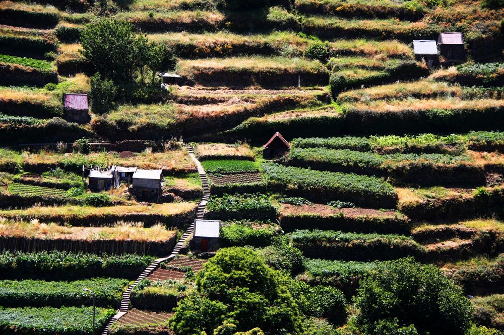 Photograph by Олег Банковский