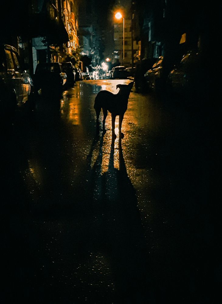 Photograph by Ahmed Fahmy