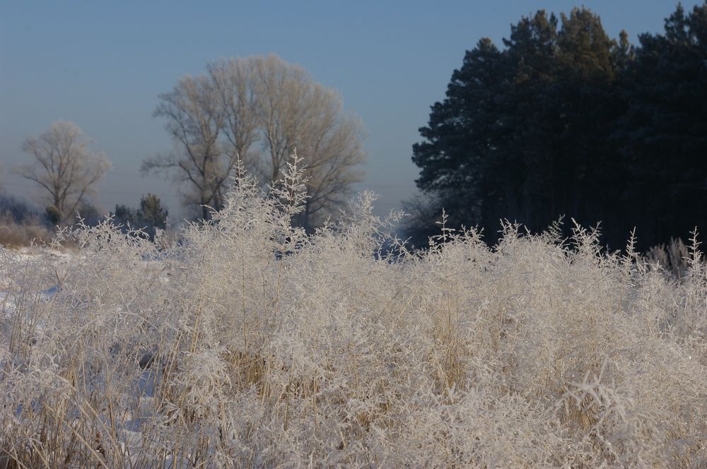 Photograph by Елена Алешкевич