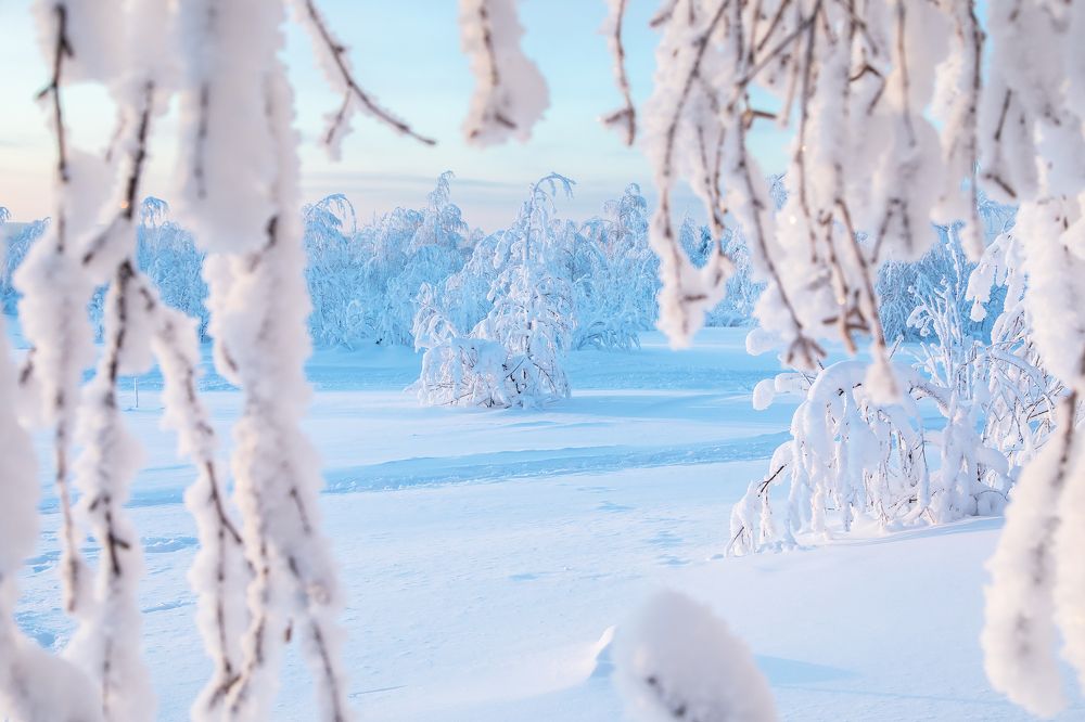 Photograph by Aleksei Utkin