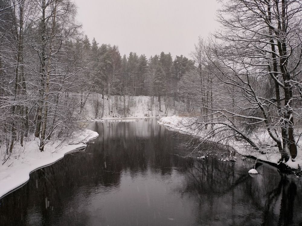 Photograph by ПЕТР ПУСТЫЛЬНИК