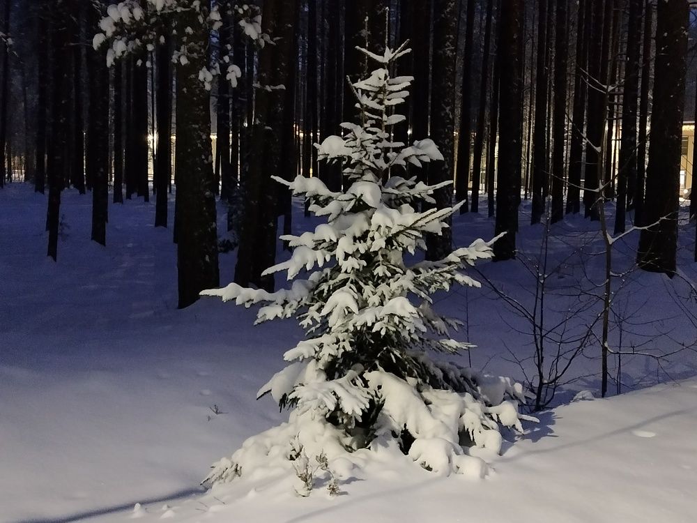 Photograph by ПЕТР ПУСТЫЛЬНИК