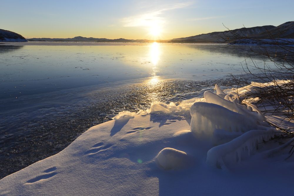 Photograph by Маргарита Фискина