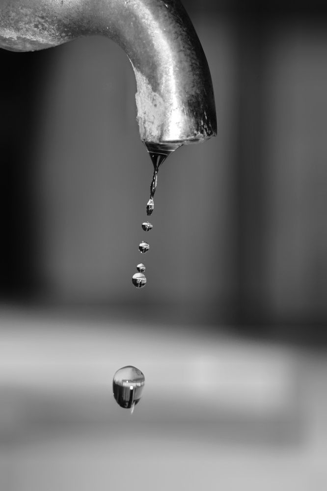 Photograph by Marziyeh Nasiri