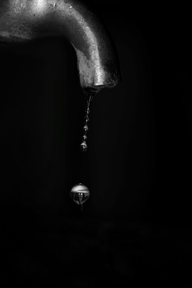 Photograph by Marziyeh Nasiri