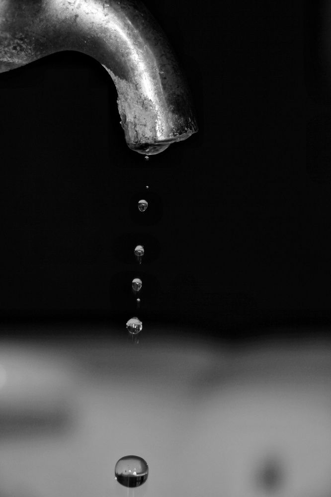 Photograph by Marziyeh Nasiri