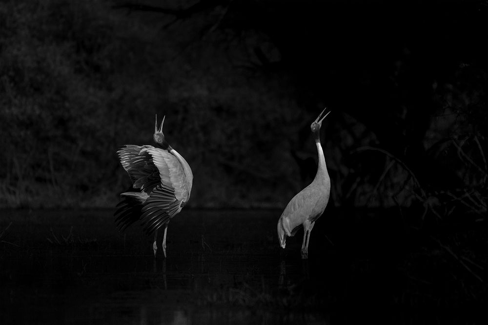 Photograph by Tushar Ambadkar