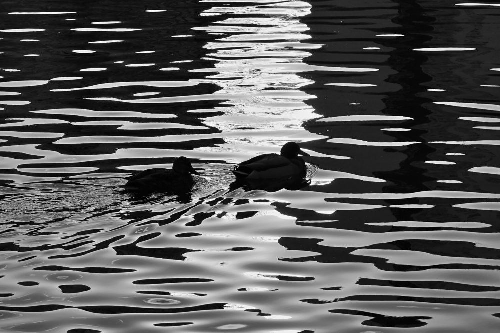 Photograph by Евгений Беленков