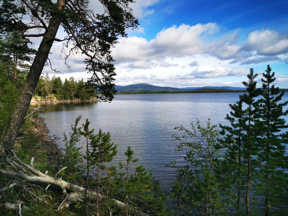 Photograph by Елена Артёменко