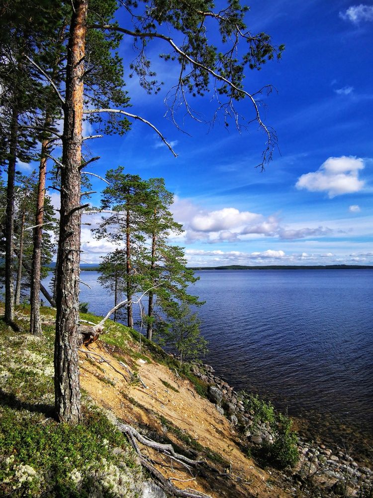 Photograph by Елена Артёменко