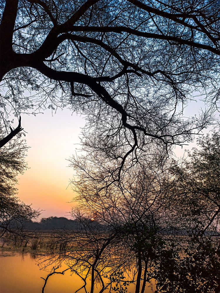 Photograph by Tushar Ambadkar