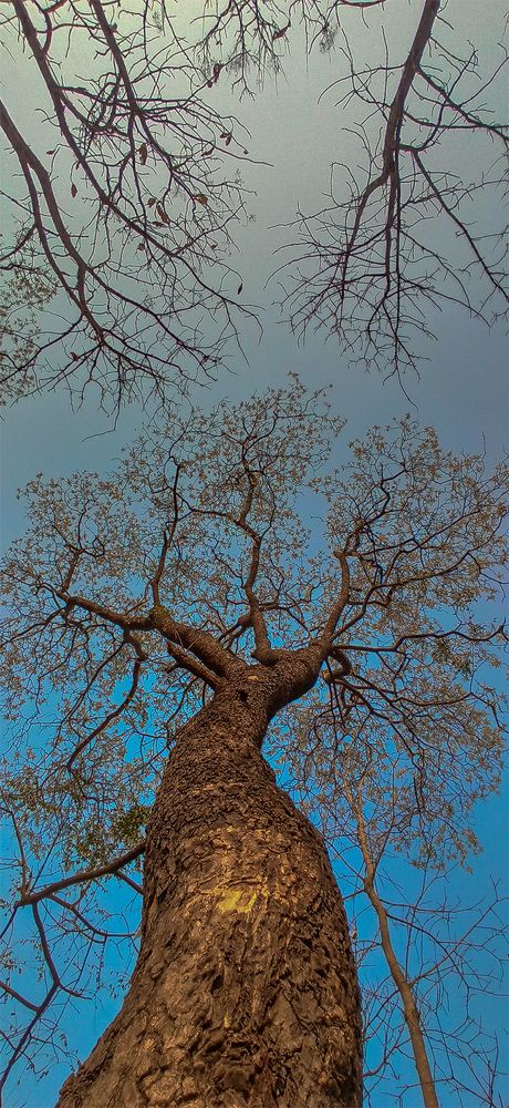 Photograph by Tushar Ambadkar