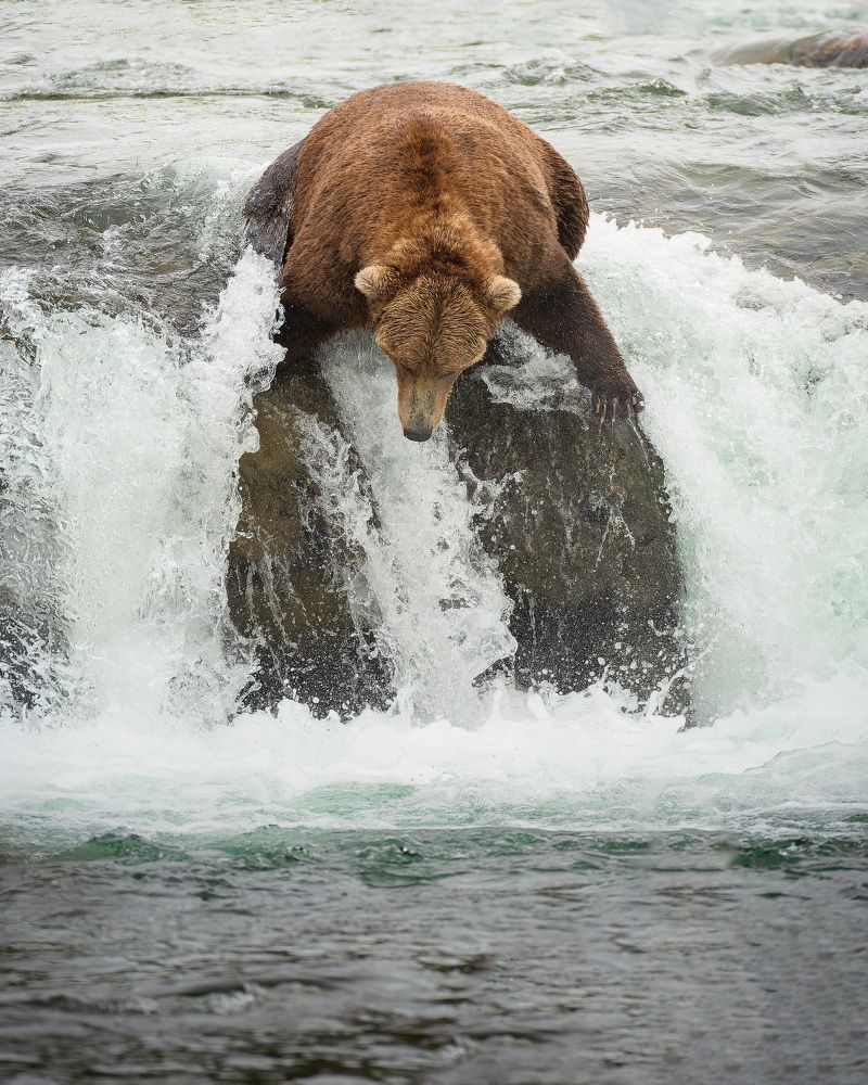 Фотография автора Karthik Subramaniam