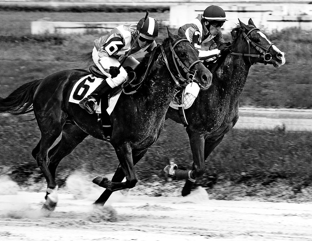 Photograph by Сергей Сережников