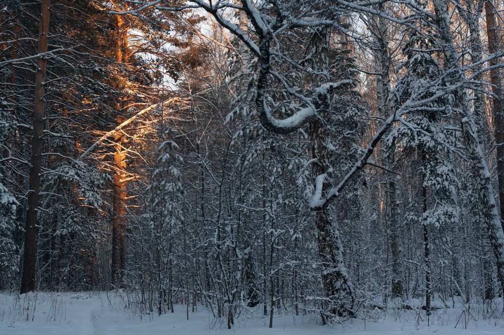 Photograph by Вета Юн