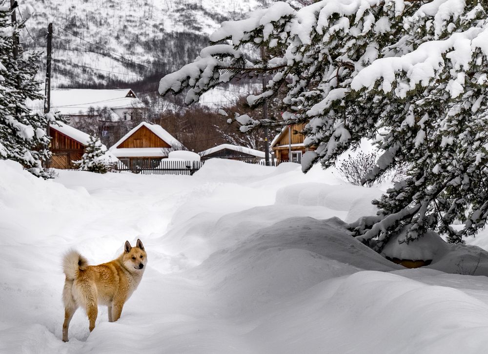 Photograph by Дмитрий Ворошилов