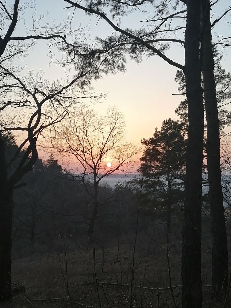 Магия солнечного света