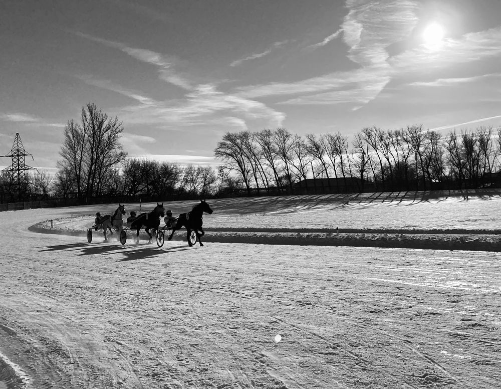 Photograph by Елена Гущина