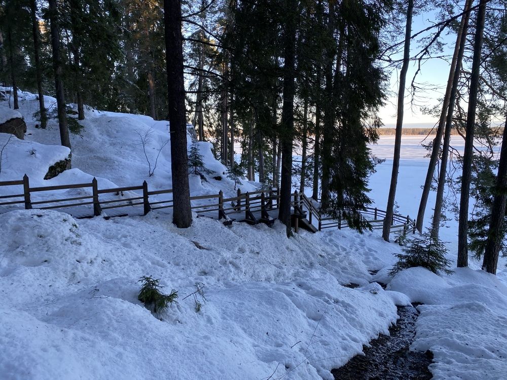 Photograph by Наталья