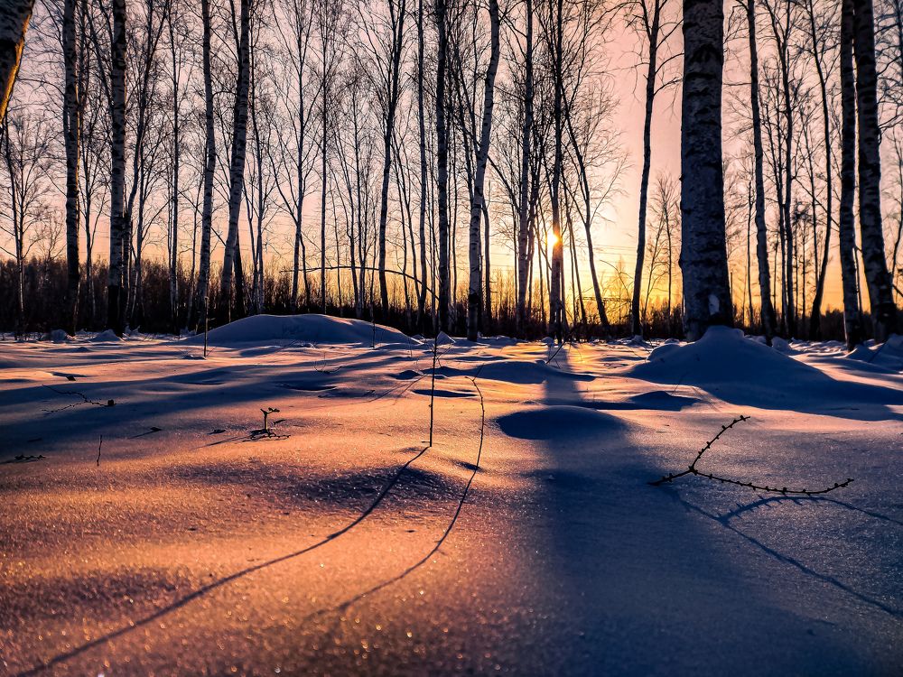 Photograph by Алексей Егоров