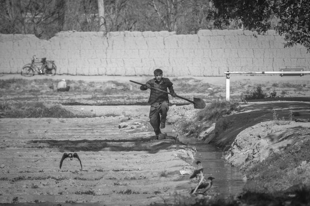 Photograph by Ali Saadat Saadatphotoart