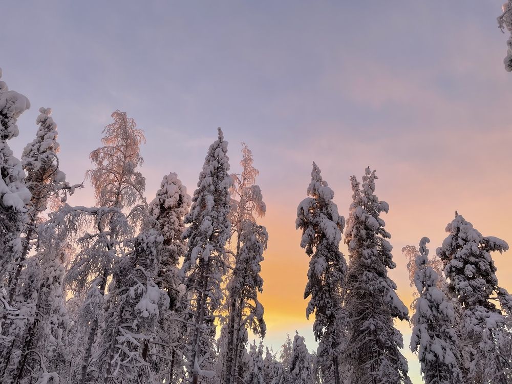 Photograph by Jelena Smala