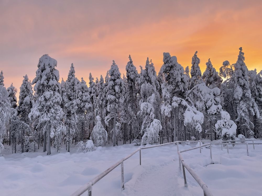 Lapland